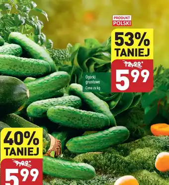 ALDI Ogórki gruntowe 1 kg oferta