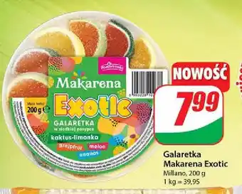 Dino Galaretka exotic Makarena oferta