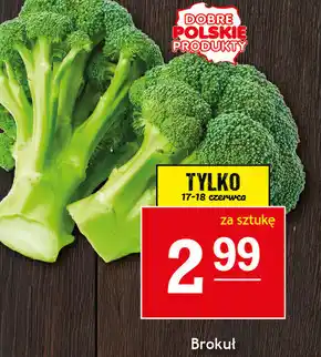 Brokuł
