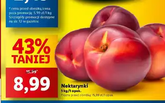 Lidl Nektarynki 1 kg oferta