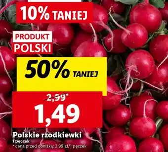 Lidl Polskie rzodkiewki 1 pęczek oferta