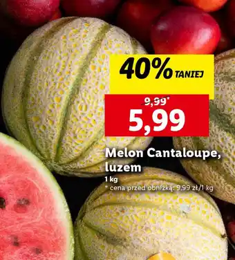 Lidl Melon Cantaloupe, luzem 1 kg oferta