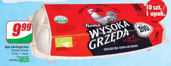 Dino Jaja Wysoka Grzęda oferta