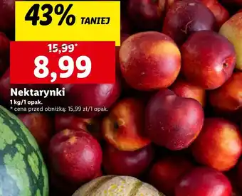 Lidl Nektarynki oferta