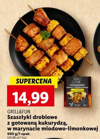 Lidl Szaszłyki Grill&Fun oferta