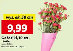 Lidl Goździki, 10 szt. oferta