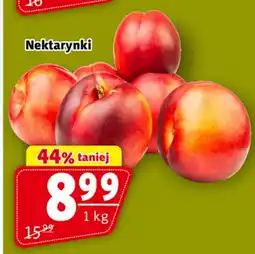Prim Market Nektarynki 1 kg oferta