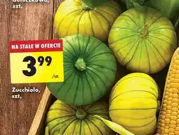 Biedronka Cukinia zucchiolo oferta