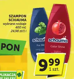 Groszek Szampon Schauma oferta