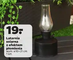 Netto Latarnia oferta