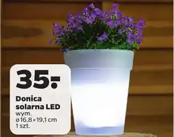 Netto Donica oferta