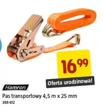 Jula Pas transportowy Hamron oferta