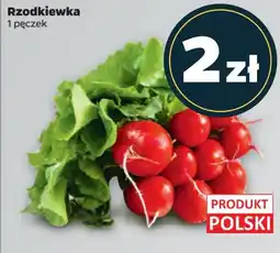 Rzodkiewka 1 pęczek