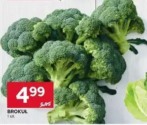 Stokrotka Market Brokuł oferta