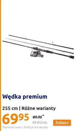 Action Wędka Premium oferta