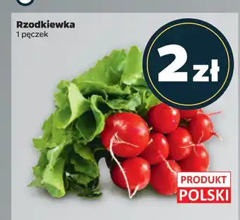 Netto Rzodkiewka oferta