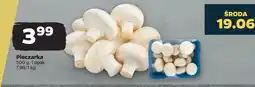 Netto Pieczarka 500 g oferta