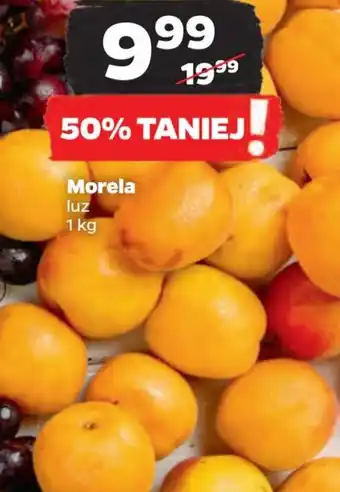 Netto Morela luz 1 kg oferta