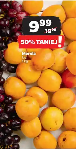 Netto Morela oferta