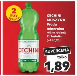 Kaufland Muszyna Cechini Naturalna woda mineralna wysokozmineralizowana średnionasycona 2 l oferta