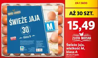 Lidl Świeże jaja, wielkość M klasa A 30szt. oferta