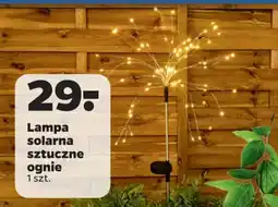 Netto Lampa solarna sztuczne ognie oferta