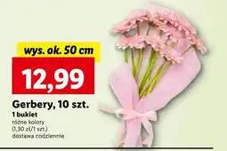 Lidl Bukiet Ok oferta