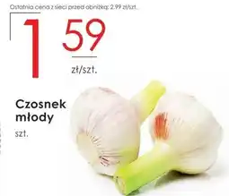 Czosnek