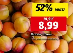 Lidl Morele oferta