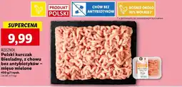 Lidl Mięso mielone Rzeźnik oferta