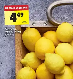 Biedronka Cytryna oferta