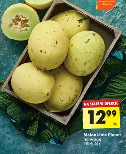 Biedronka Melon oferta
