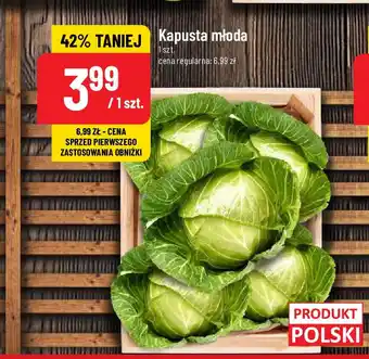 Polomarket Kapusta młoda oferta