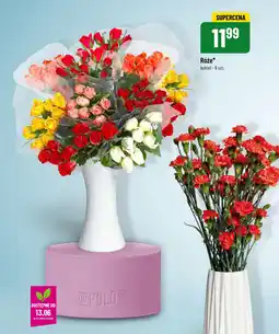 Polomarket Róże 9 szt. oferta