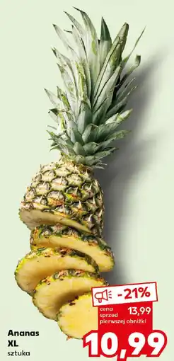 Ananas XL