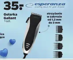 Netto Golarka Esperanza oferta