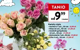 Intermarche Kwiaty cięte 7szt. oferta