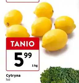 Intermarche Cytryna 1 kg oferta