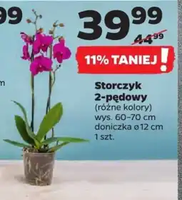 Netto Storczyk 2-pędowy oferta