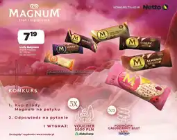 Netto Lody Magnum 70-110 ml oferta