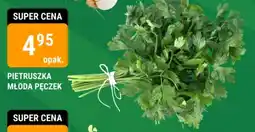 PIETRUSZKA MŁODA PĘCZEK