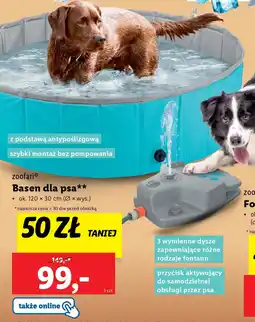 Lidl Zoofari Basen dla psa oferta