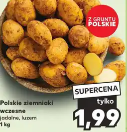 Kaufland Polskie ziemniaki wczesne jadalne 1 kg oferta