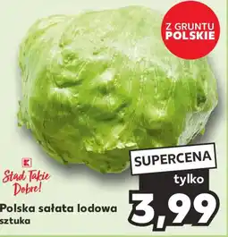 Kaufland Polska sałata lodowa oferta