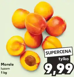 Kaufland Morele 1 kg oferta