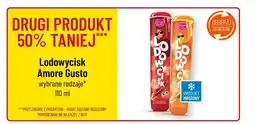 Polomarket Lodowycisk Amore Gusto 110 ml oferta