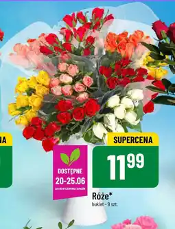 Polomarket Róże 9 szt. oferta