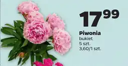 Piwonia