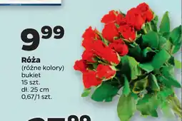 Netto Róża oferta