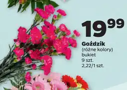 Netto Goździk oferta